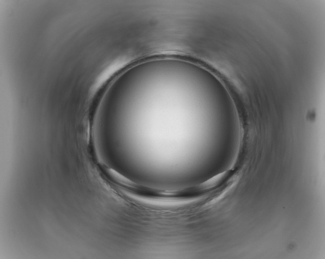 X0000092031317200709061606