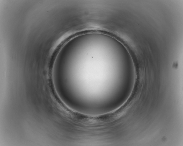X0000092031318200709061606
