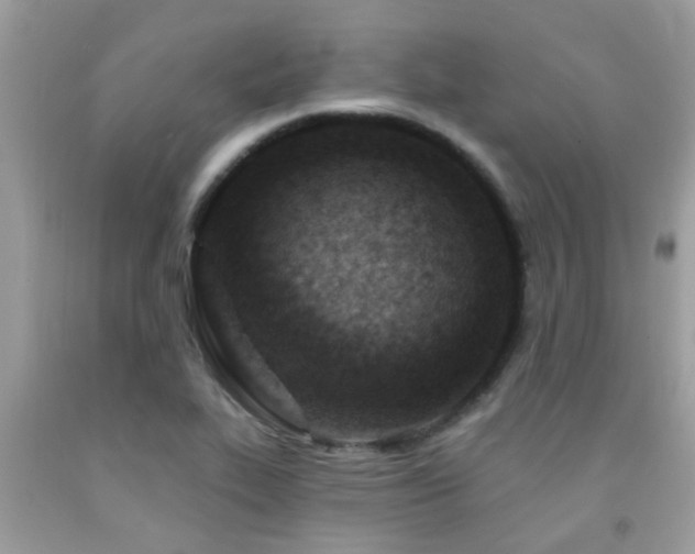 X0000092031319200709061606