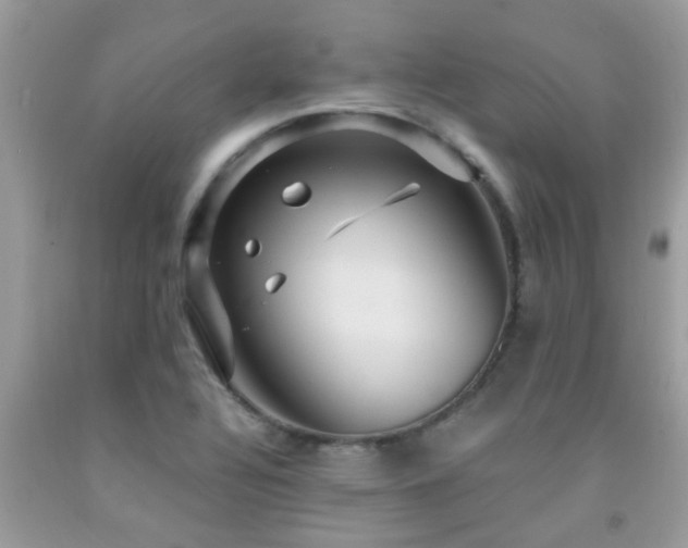 X0000092031320200709061606