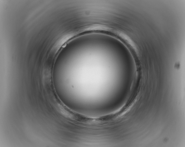 X0000092031321200709061606