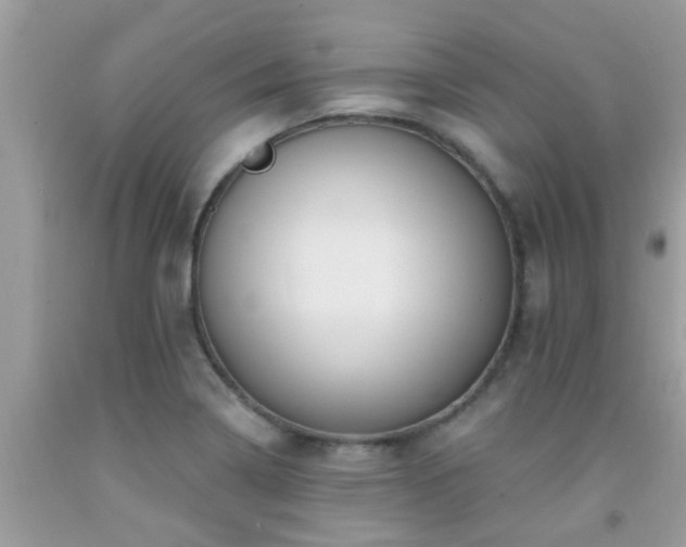 X0000092031322200709061606