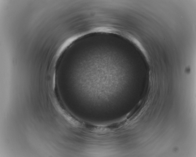 X0000092031323200709061606
