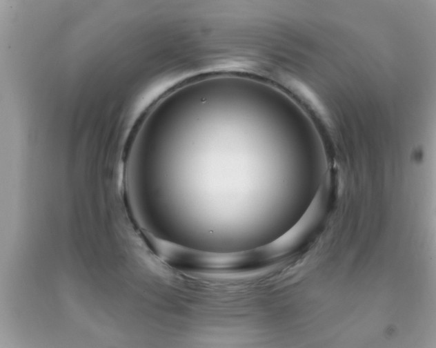 X0000092031324200709061606