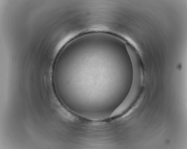X0000092031325200709061606