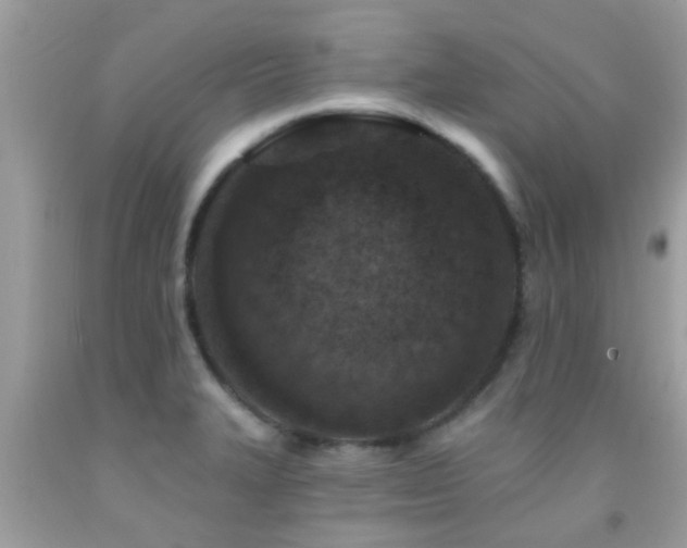 X0000092031327200709061606