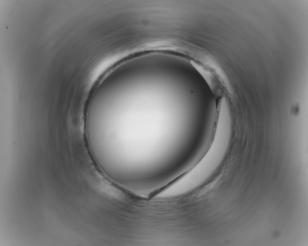 X0000092031328200709061606