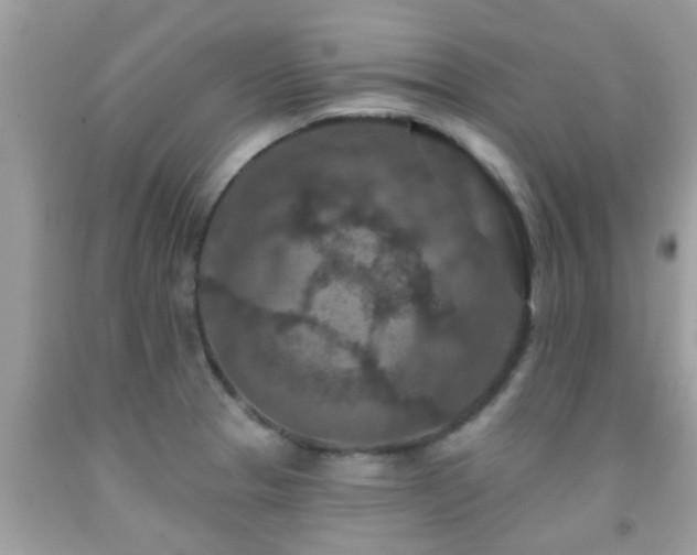 X0000092031329200709061606
