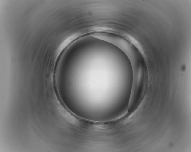 X0000092031330200709061606