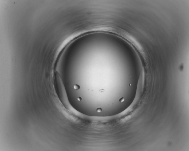 X0000092031332200709061606