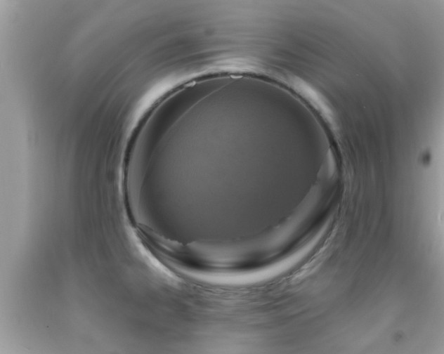 X0000092031334200709061606
