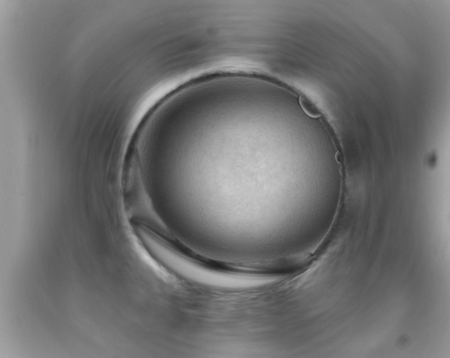 X0000092031335200709061606