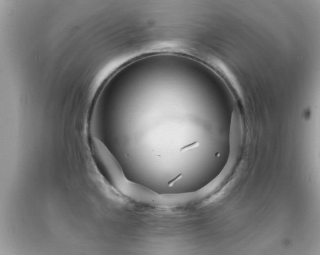 X0000092031336200709061606