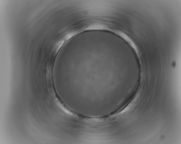 X0000092031337200709061606
