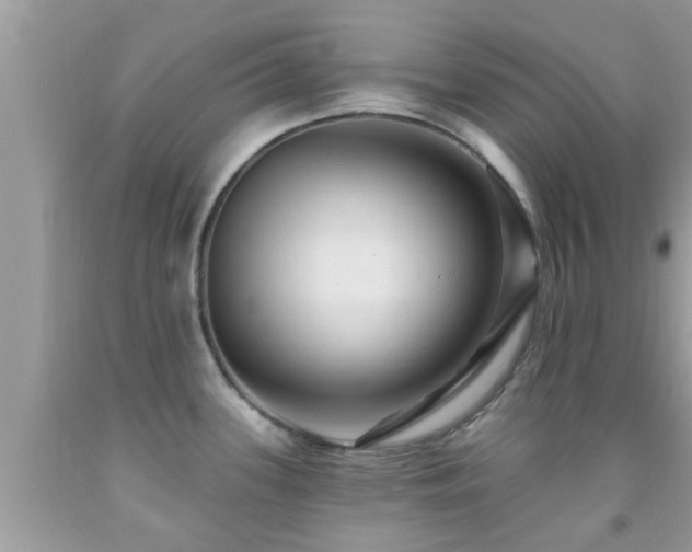 X0000092031339200709061606