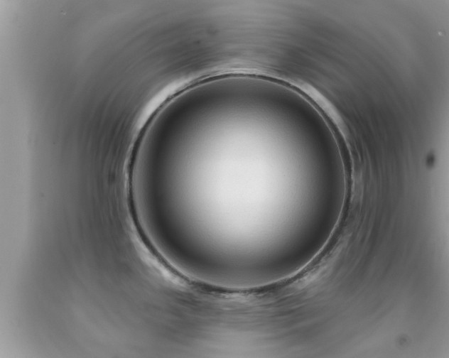 X0000092031341200709061606