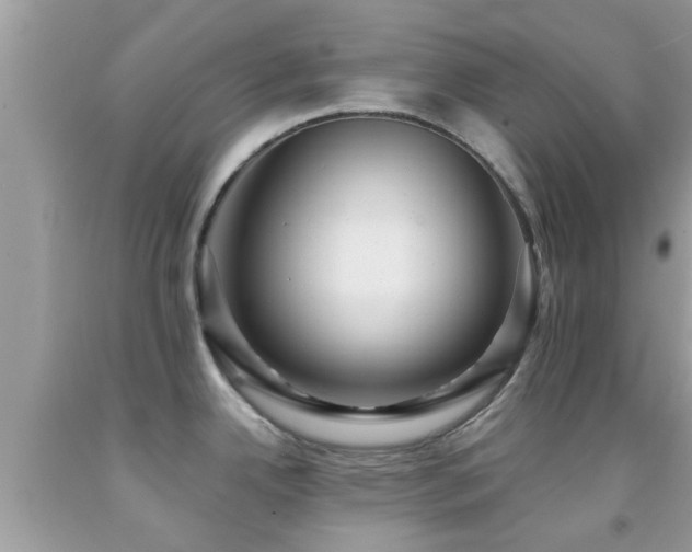 X0000092031342200709061606