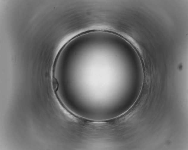 X0000092031343200709061606