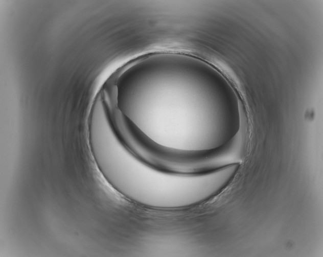 X0000092031344200709061606