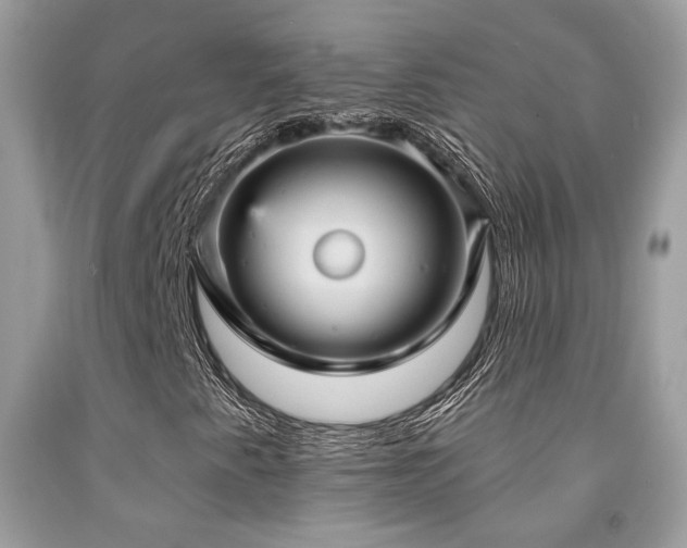 X0000092031345200709061606
