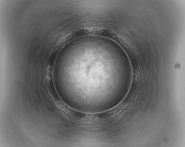 X0000092031346200709061606