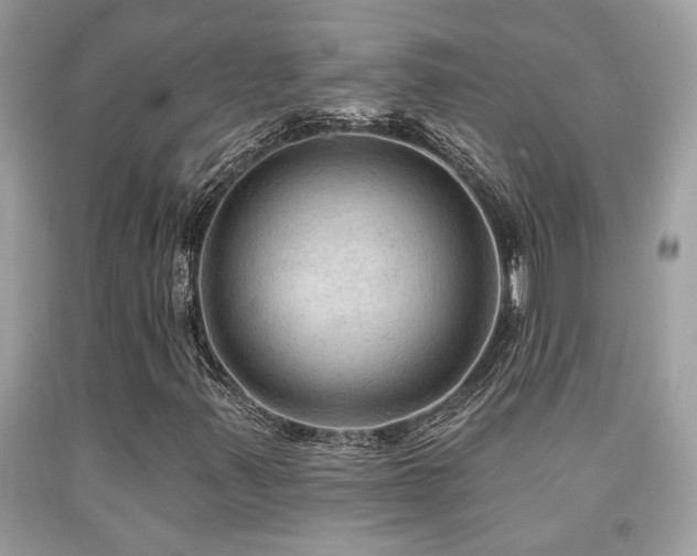 X0000092031347200709061606