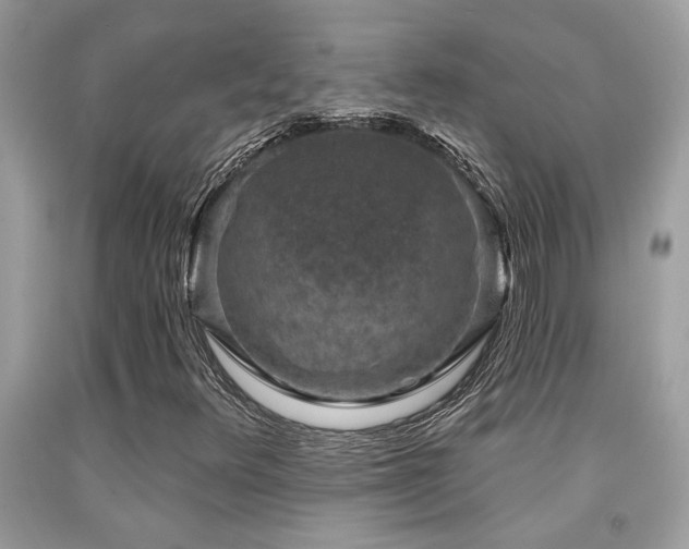 X0000092031348200709061606