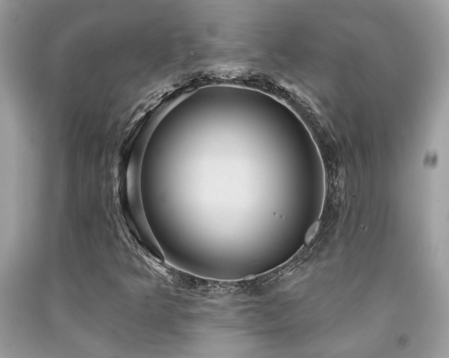 X0000092031349200709061606