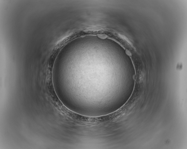 X0000092031350200709061606