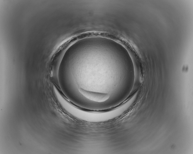 X0000092031352200709061606