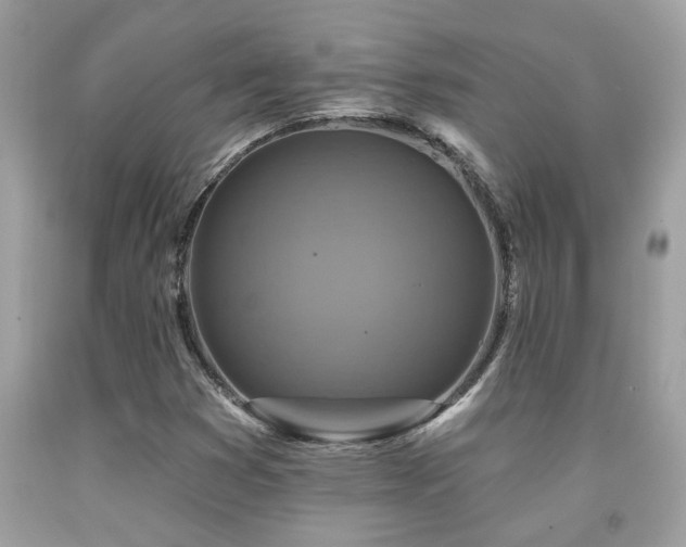 X0000092031353200709061606