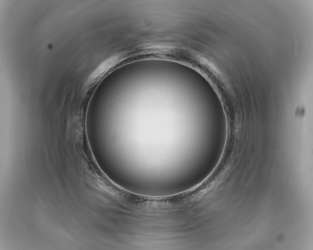 X0000092031354200709061605