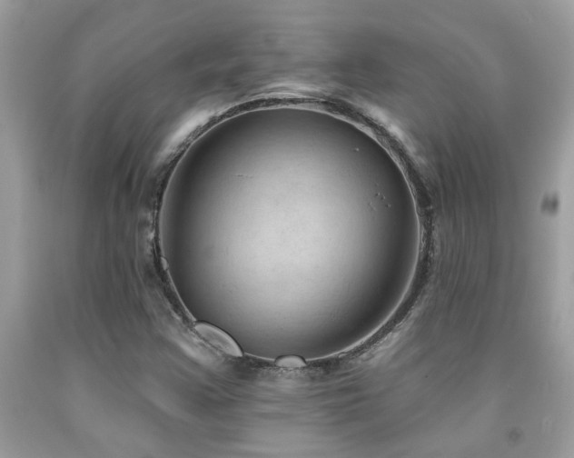 X0000092031355200709061605