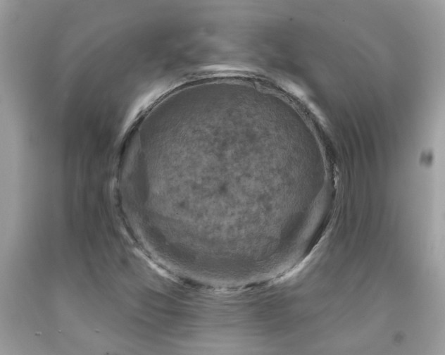 X0000092031357200709061605