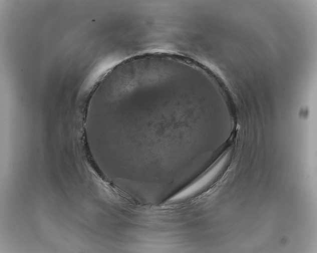 X0000092031359200709061605