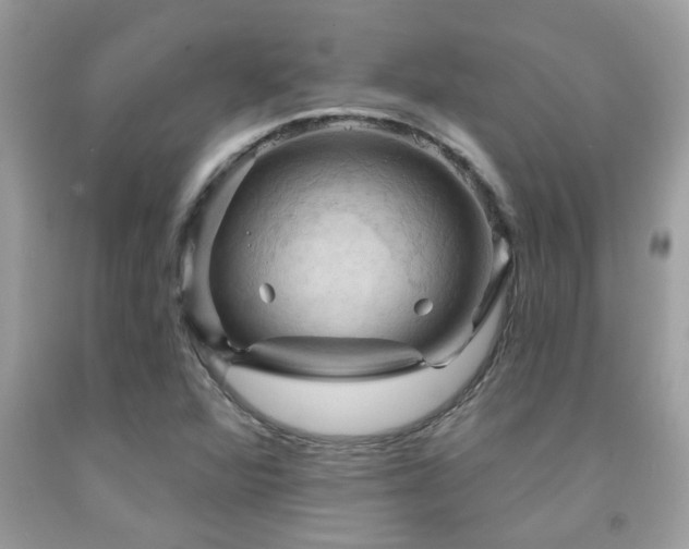 X0000092031360200709061605