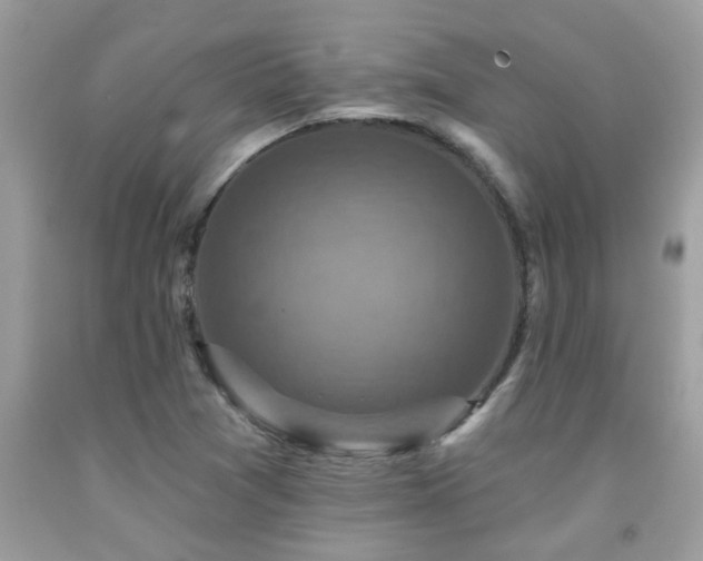 X0000092031361200709061605