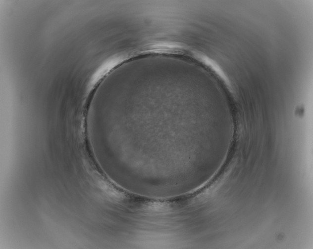 X0000092031362200709061605