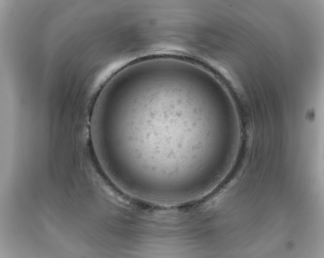 X0000092031363200709061605