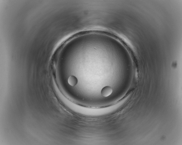 X0000092031364200709061605