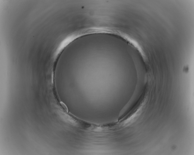 X0000092031365200709061605