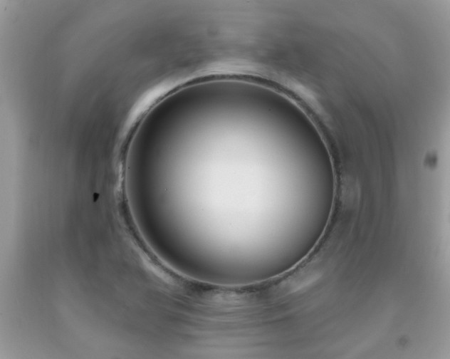 X0000092031366200709061605