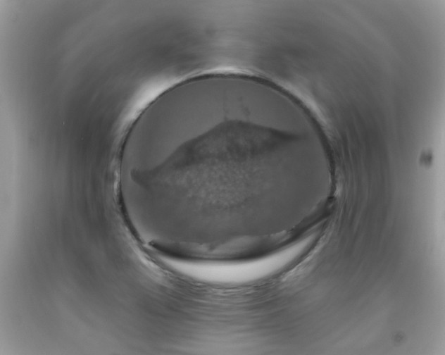 X0000092031367200709061605