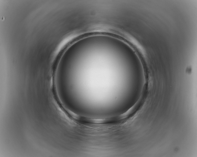 X0000092031368200709061605