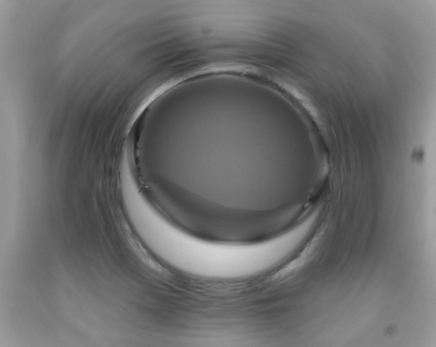 X0000092031369200709061605