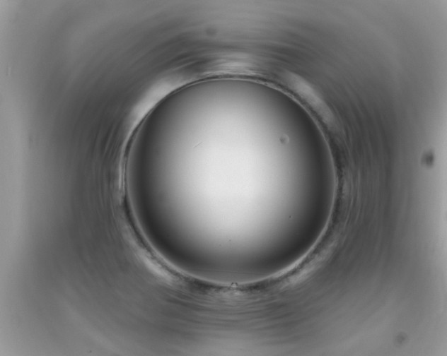X0000092031370200709061605