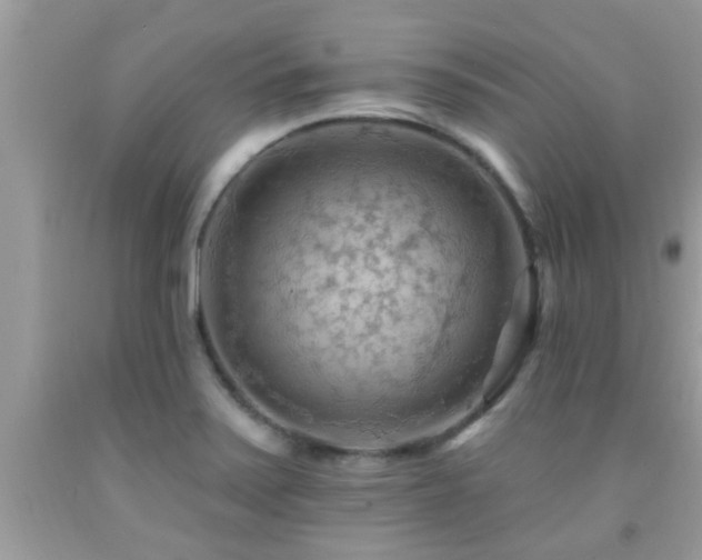 X0000092031371200709061605