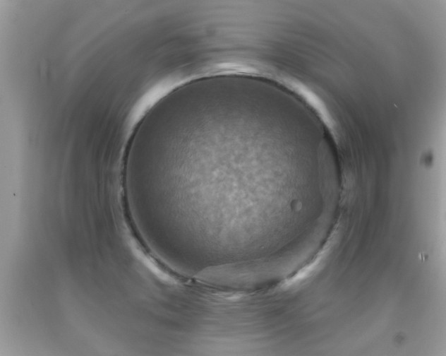 X0000092031373200709061605