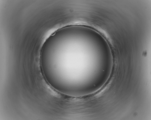 X0000092031374200709061605