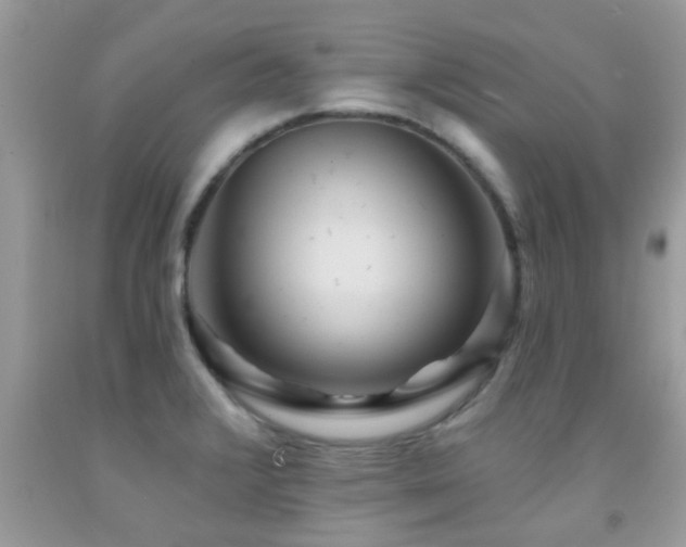 X0000092031376200709061605